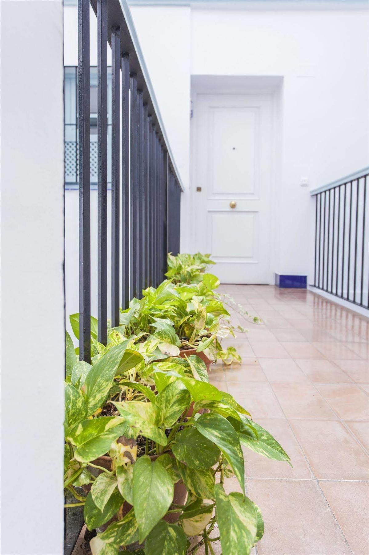 Apartamentos Suites Santa Cruz Sevilla Exteriör bild